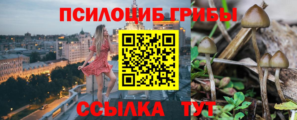 Псилоцибиновые грибы Magic Shrooms  Вход с VPN  Псилоцибиновые грибы MAGIC MUSHROOMS  Камышлов 